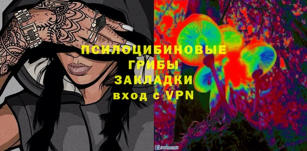 гидропоника Бородино