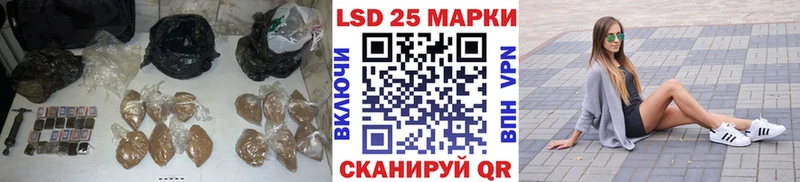 закладки  дарк нет телеграм  Лсд 25 экстази кислота  Реутов 