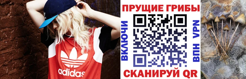 Галлюциногенные грибы Cubensis купить наркотик Реутов